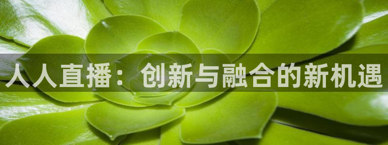 nba直播龙门：人人直播：创新与融合的新机遇