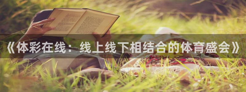 龙门飞甲粤语在线看：《体彩在线：线上线下相结合的体育盛会》