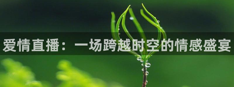 178直播比赛在线观看龙门：爱情直播：一场跨越时空的情感盛宴