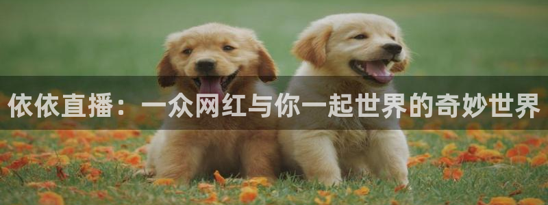龙门直播吧：依依直播：一众网红与你一起世界的奇妙世界