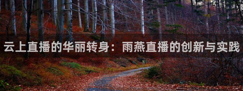 龙门在线直播nba