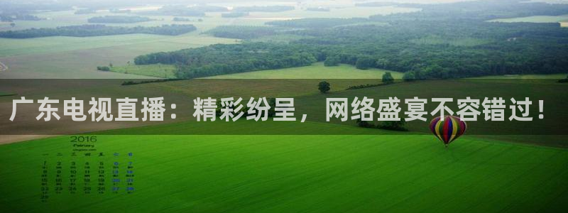 看球直播龙门直播
