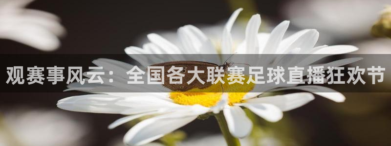 jrs直播低调看直播nba直播 龙门直播：观赛事风云：全国各大联赛足球直播狂欢节