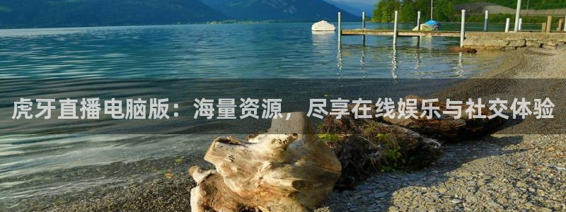 龙门体育直播