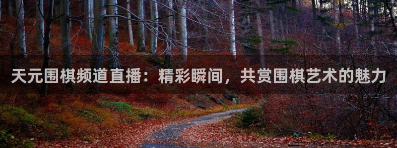 龙门体育免费直播：天元围棋频道直播：精彩瞬间，共赏围棋艺术的魅力