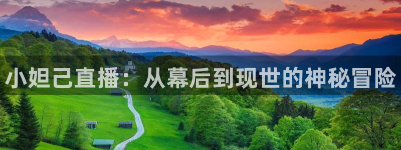 龙门直播免费下载入口：小妲己直播：从幕后到现世的神秘冒险