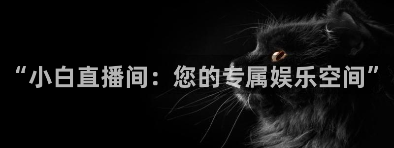 龙门直播下载：“小白直播间：您的专属娱乐空间”