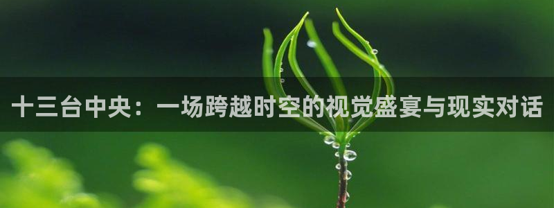 龙门直播官网：十三台中央：一场跨越时空的视觉盛宴与现实对话